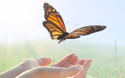 Surrendering And Letting Things Go