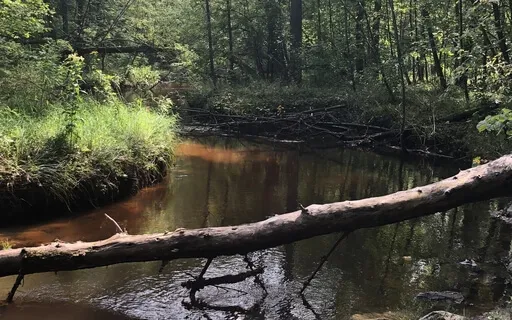 Surrendering Like A River