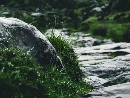 Surrendering Like A River