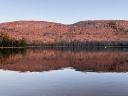 Surrendering Our 'I AM Thoughts'