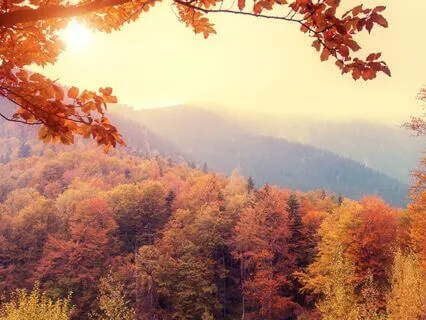 Surrendering To Change