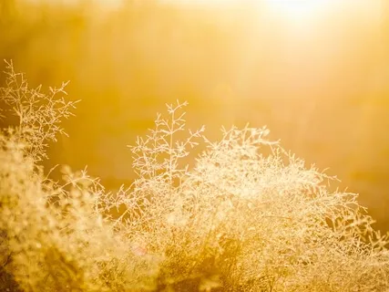 Surrendering To God's Healing Hand