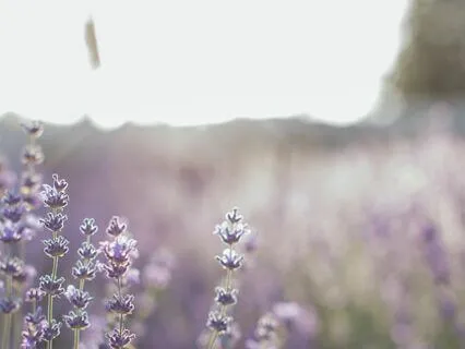 Surrendering To The Spirit Of Love