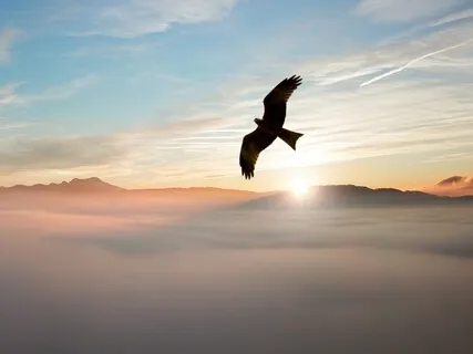 Surrendering To What Is