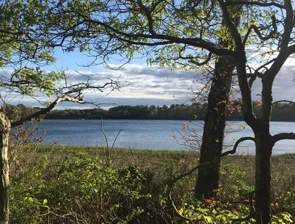 Surrendering To Your Grief