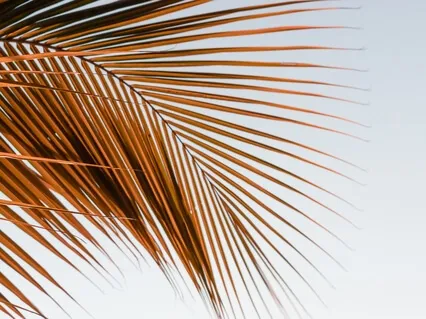 Surrendering To Your Soul's Knowingness