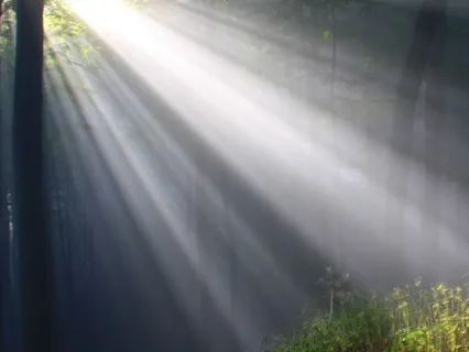 Surround, Ground & Shield Practice For Empaths