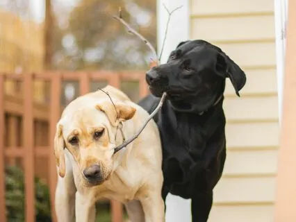 Surround Yourself With Good Ones: Create Friendships