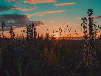 Surrounded By Mother Earth