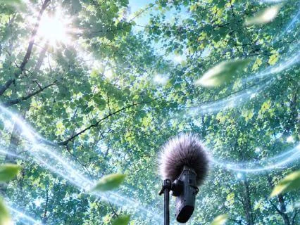 Surrounded By The Soothing Wind Of Liberation (8x Loop)