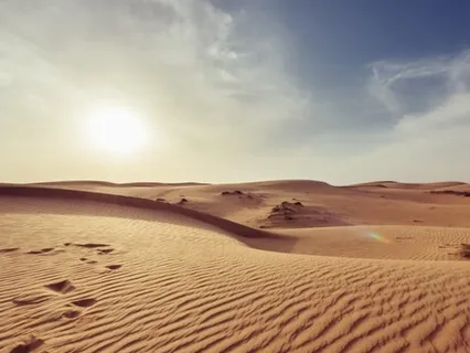 Surviving The Desert