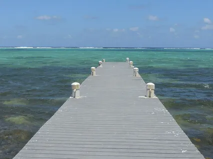 Surviving The Holidays, Dealing With Depression