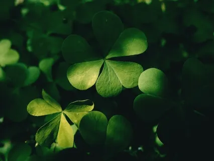 Surya Bedhana Nadi Sodhana - Breathing Techniques
