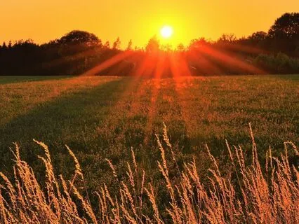 Surya Namaskara - Sun Salutation - Mantras Only