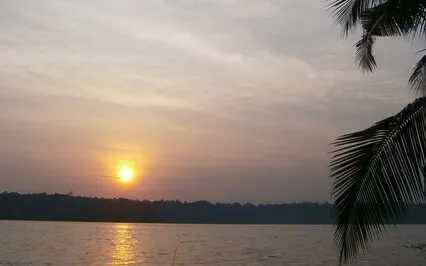 Surya Namaskara (Sun Salutes) With Mantras Call & Response