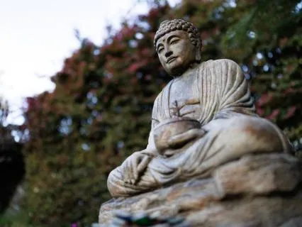 Suspending Disbelief: An Exploration Of Views