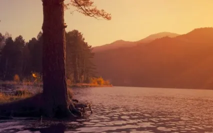 Sustainable Progress Meditation