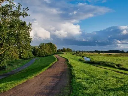 Sustained Tones And Minimal Variation (Ambient)