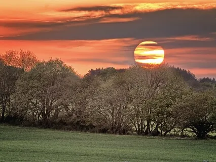 Sutta On Right View: A Reading