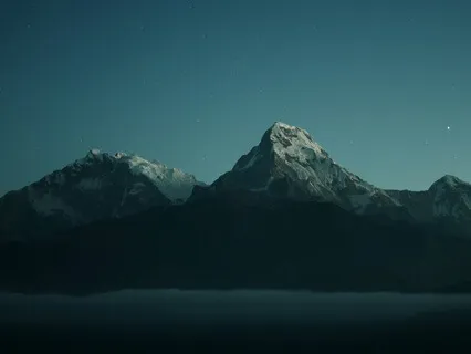 Swamps & Wetlands Sleep Facts