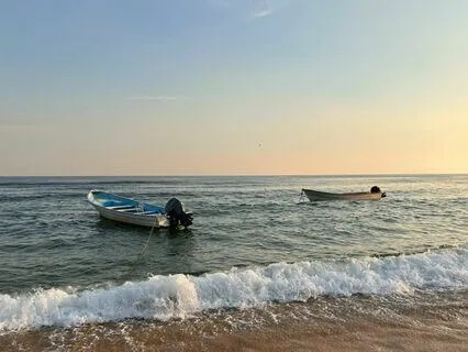 Sway as The Ocean & Receive Your Intuitive Message Today