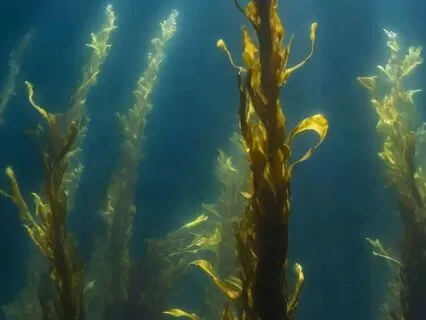 Sway With Kelp For Deep Relaxation