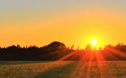 Sweet Ambient Music To Calm Anxiety