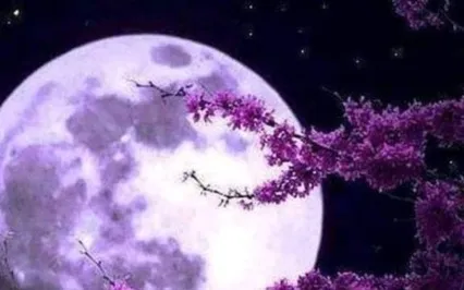 Sweet Ambient Sleep Relaxation (Pt2)