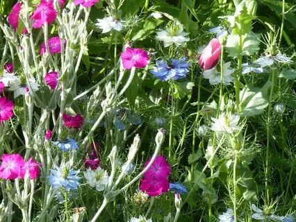 Sweet Dreaming: Gentle Relaxing Classical Piano Solo