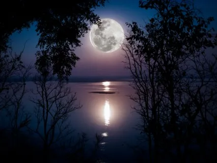 Sweet Dreams Meditation - English