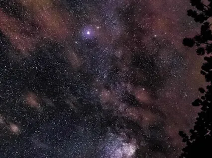 Sweet Dreams With Koshi Chimes