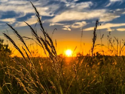 Sweet Farewell - Soft And Calming Music For Your Mind