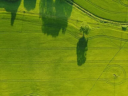 Sweet Hour Of Prayer