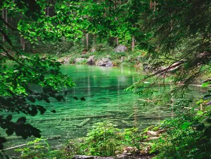 Sweet May Rain Sounds For Deep Sleep