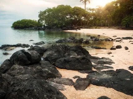 Sweet Morning's Grace