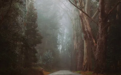 Sweet Nothing (Guided Meditation)