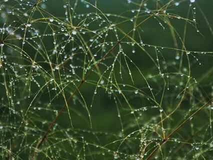 Sweet Nothing - Non Obtrusive Yoga Music