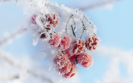 Sweet Nothing  [The Sound Of Inner Peace]