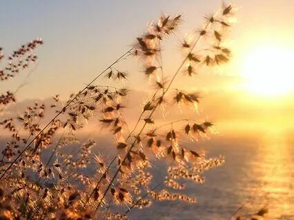 Sweet Slowing Down From Stress