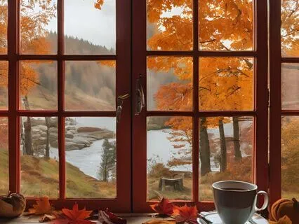 Sweet Stillness - Cosy Acoustic Guitar Meditation Track