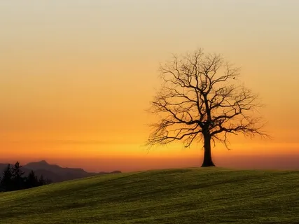 Sweetness Of Surrendering