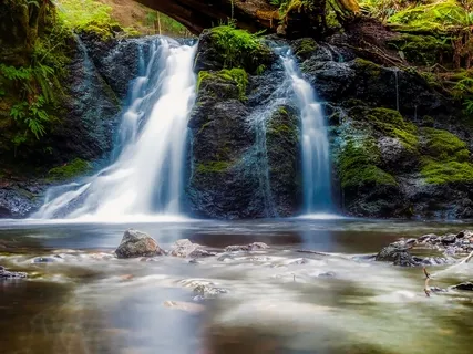 Swiss Mountain Stream | Forest & Water Sounds For Deep Sleep