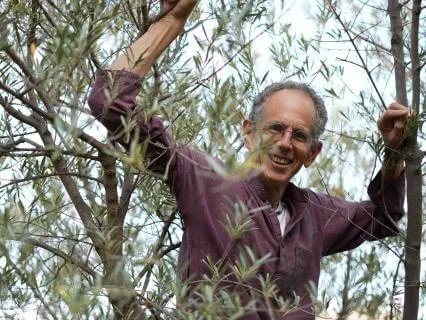 Switch Your Mind Off