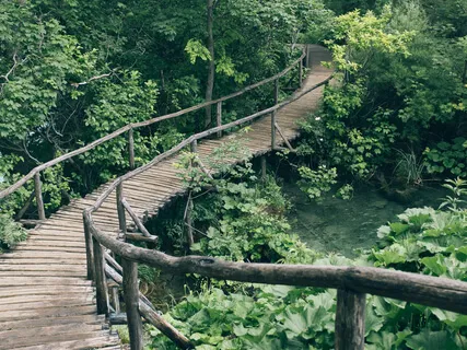 Sydämen neljä perustarvetta (MBAR)