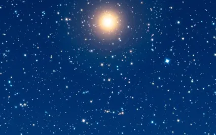 Symbiosis With The North Star