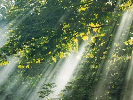 Symbols Of Awakening