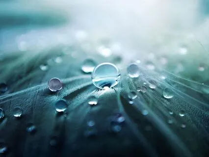 Symphony Of Rain – 2H Of Gentle Rain And Inner Stillness