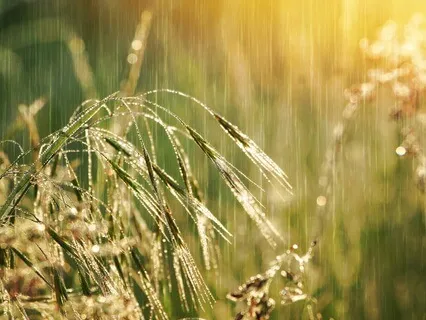 Symphony Of Rain: Capturing Rainfall At Varying Intensities