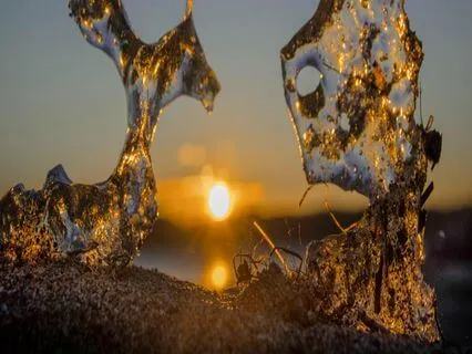 Symphony Of The Elements