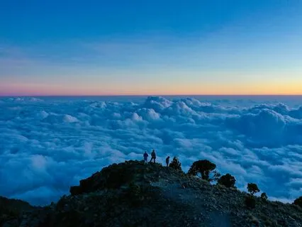 Symphony Of The Wind Chimes